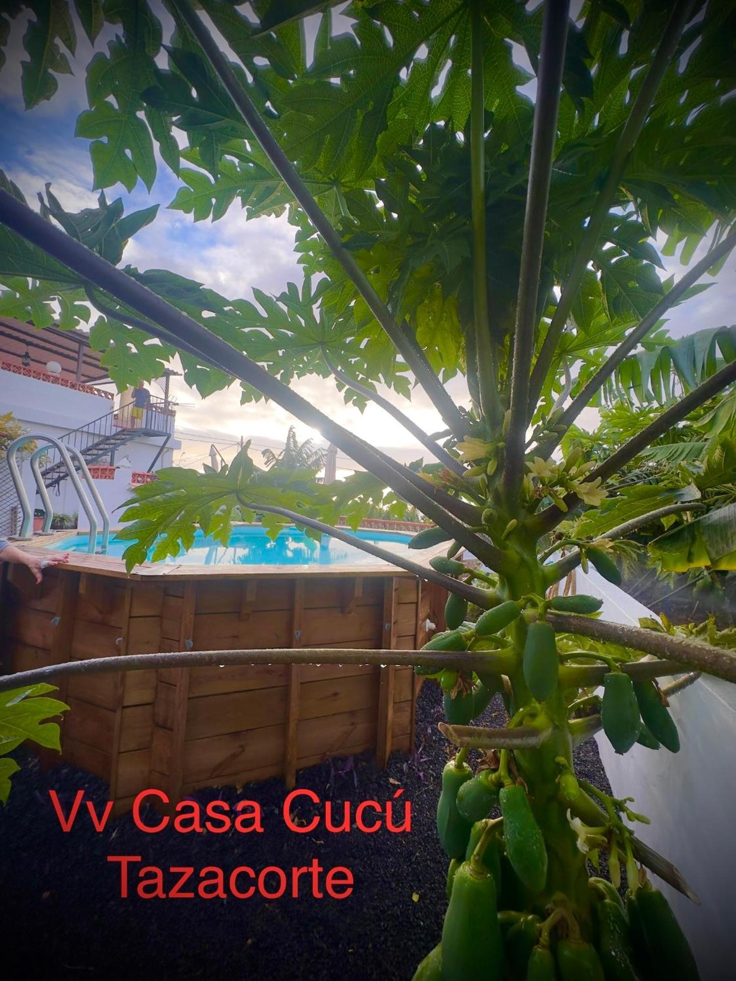 Casa Cucu Villa Tazacorte Exterior photo